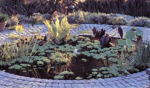 Как украсить садовый, приусадебный, дачный участок (50 фото) Как украсить садовый, приусадебный, дачный участок (50 фото)