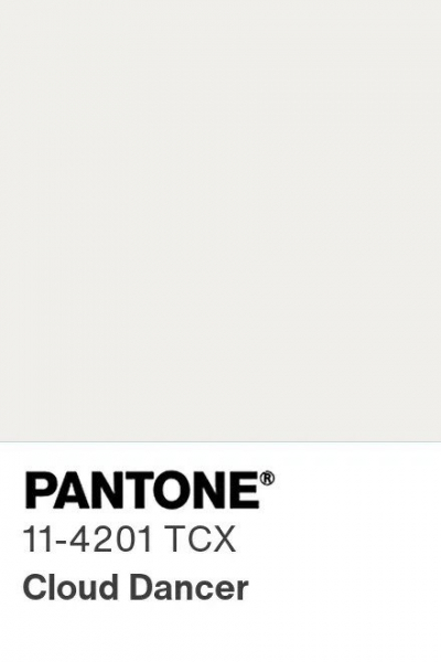 Pantone назвал главный цвет 2026 года Pantone назвал главный цвет 2026 года
