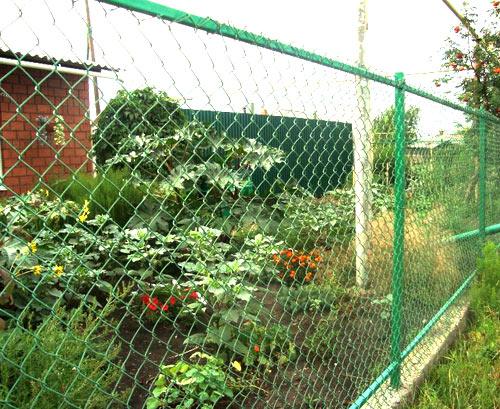 Выбор материала для забора на даче Выбор материала для забора на даче