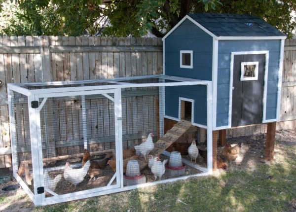 Курятник своими руками: предварительная подготовка и пошаговая инструкция изготовления Курятник своими руками: предварительная подготовка и пошаговая инструкция изготовления