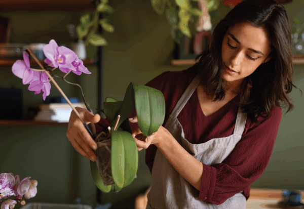 Когда цвет решает: Когда цвет решает: