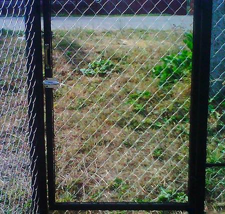 Дешёвые калитки для дачи Дешёвые калитки для дачи