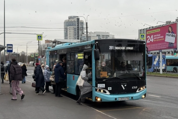 Из пены морской и песка. Что изменилось за пять лет на намыве васильевского острова Из пены морской и песка. Что изменилось за пять лет на намыве васильевского острова