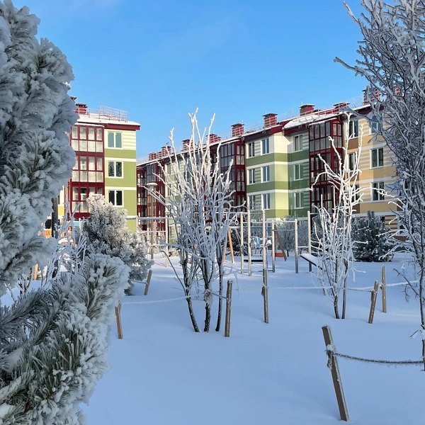 Царскосельские холмы: от императорских резиденций до современных кварталов Царскосельские холмы: от императорских резиденций до современных кварталов