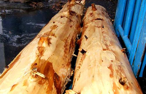 Строительство забора из горбыля Строительство забора из горбыля