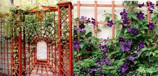 Как украсить садовый, приусадебный, дачный участок (50 фото) Как украсить садовый, приусадебный, дачный участок (50 фото)