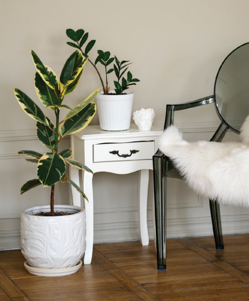 Когда цвет решает: Когда цвет решает: