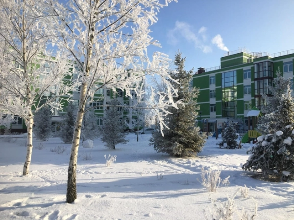 Царскосельские холмы: от императорских резиденций до современных кварталов Царскосельские холмы: от императорских резиденций до современных кварталов