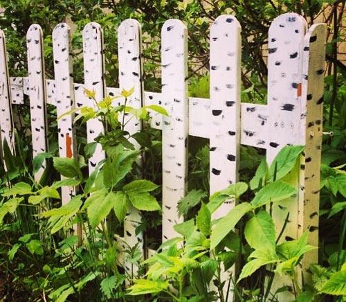 Выбор материала для забора на даче Выбор материала для забора на даче