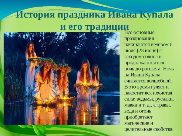 Колокольчик (фото): виды, посадка, уход и размножение растения Колокольчик (фото): виды, посадка, уход и размножение растения