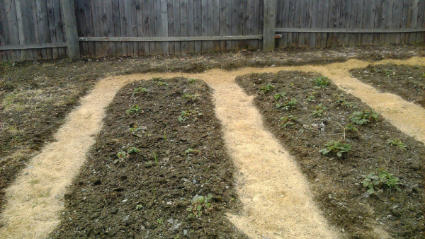 Применение опилок в саду и огороде, удобрение и декор Применение опилок в саду и огороде, удобрение и декор