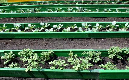 Пластиковые ограждения для грядок Пластиковые ограждения для грядок